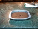 Ta da! Brownies!