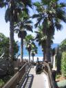 Grandview Steps… lovely Encinitas!