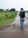 Alan with a Tala cow…