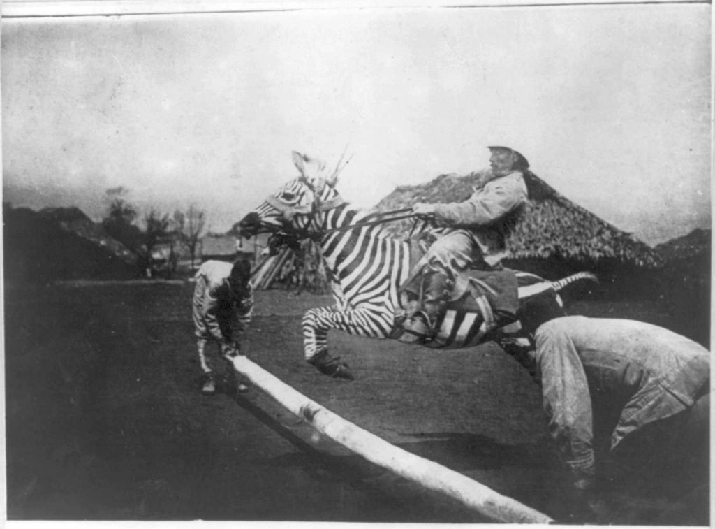 Colonial bastard jumping a tamed zebra in East Africa sometime between 1890 and 1923...