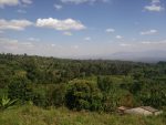 Beautiful view from Marangu village